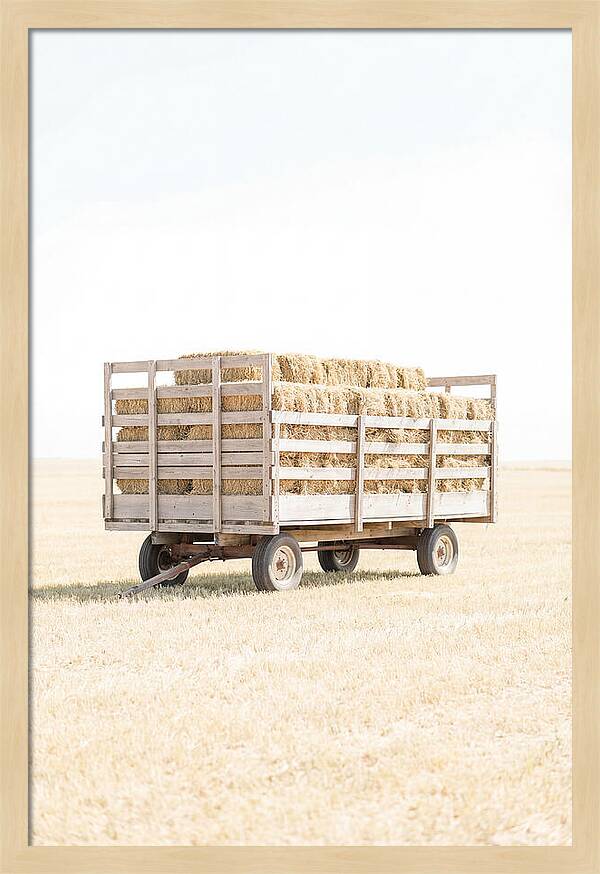 Old Farm Hay Wagon Loaded High