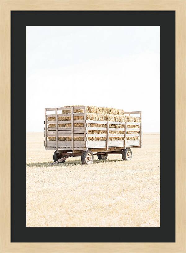 Old Farm Hay Wagon Loaded High