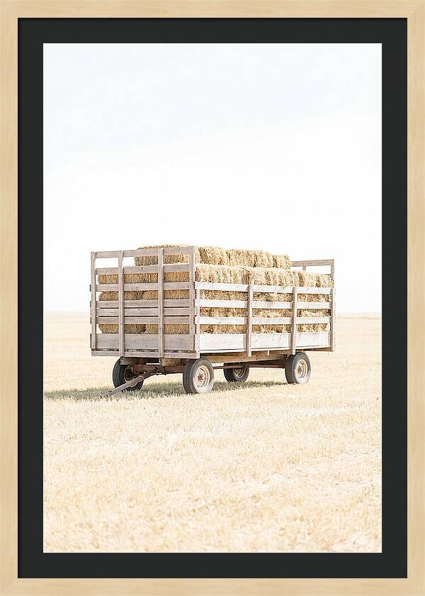 Old Farm Hay Wagon Loaded High