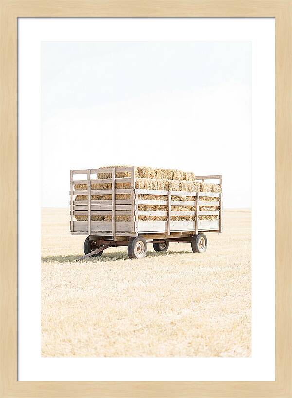 Old Farm Hay Wagon Loaded High