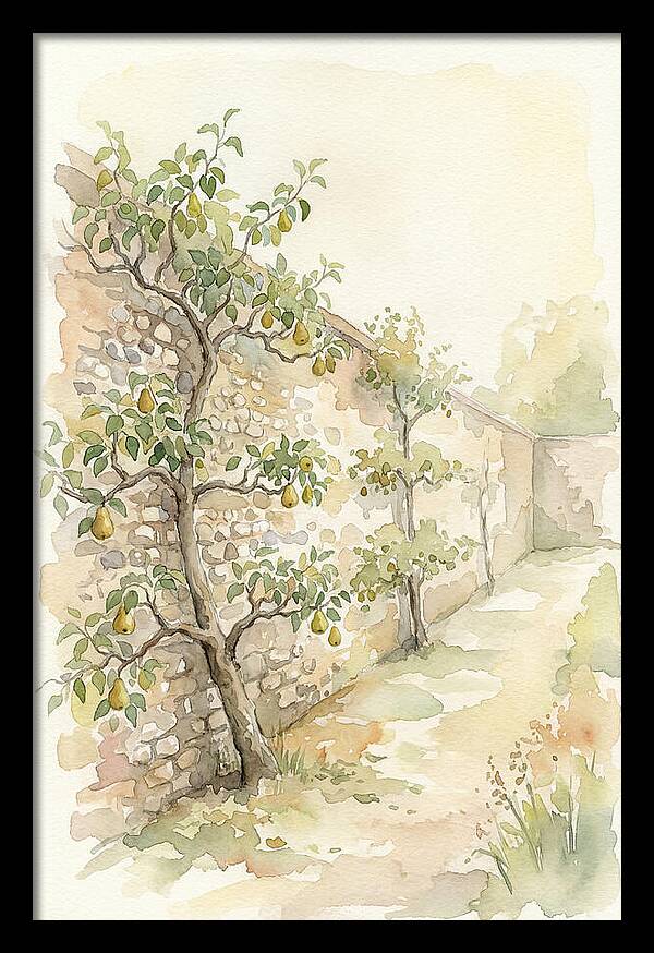 Old Flint Wall Garden