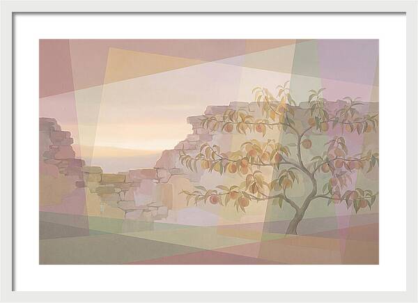 Old Garden Wall With Peach Tree