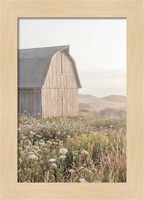 Old Grey Barn By The Sea