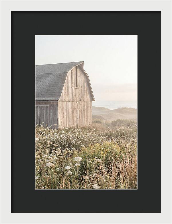 Old Grey Barn By The Sea