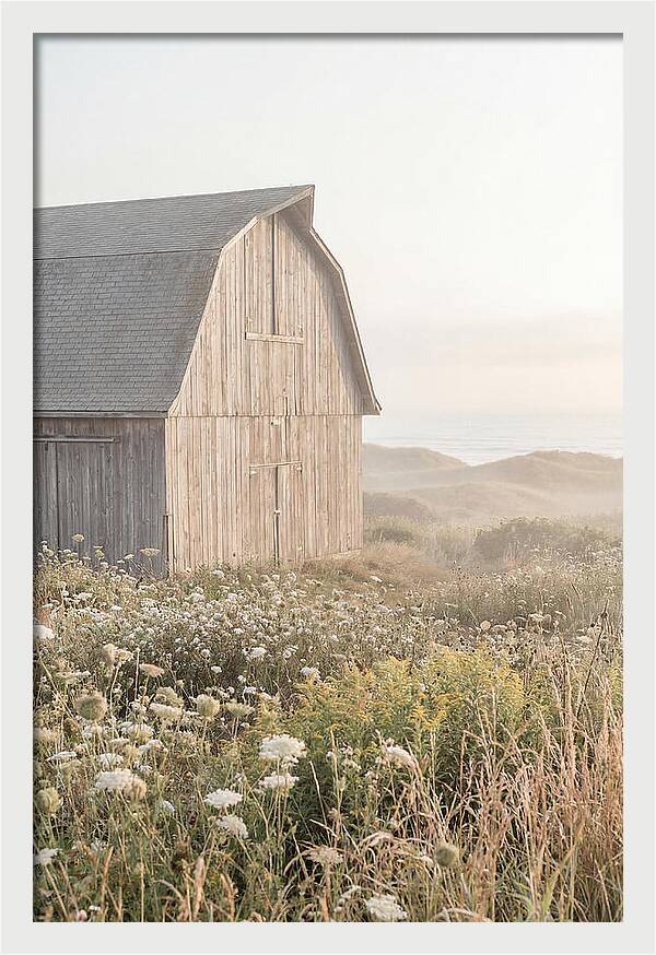 Old Grey Barn By The Sea