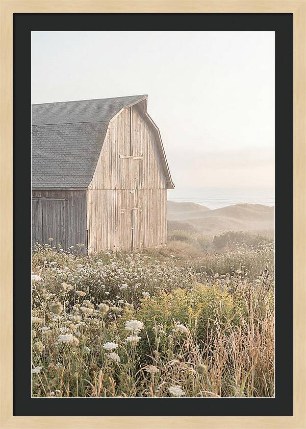 Old Grey Barn By The Sea