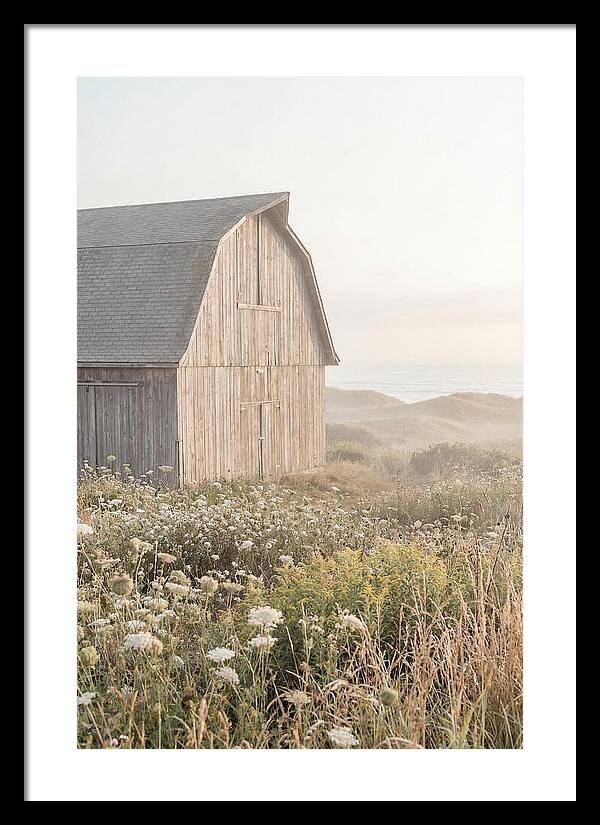 Old Grey Barn By The Sea
