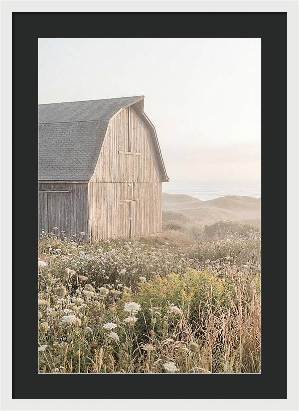 Old Grey Barn By The Sea