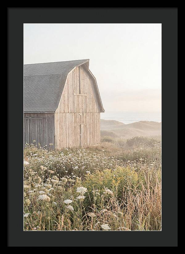 Old Grey Barn By The Sea