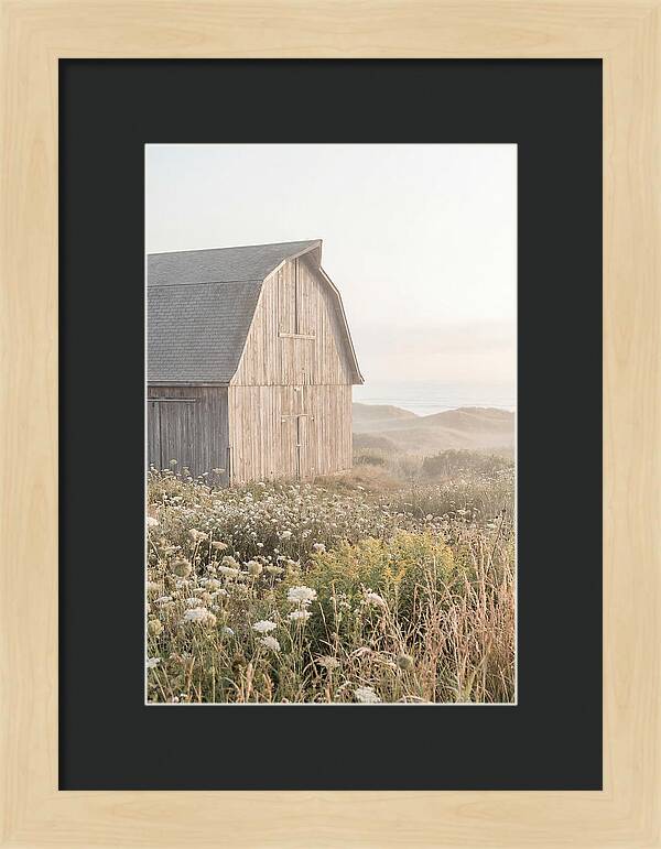 Old Grey Barn By The Sea