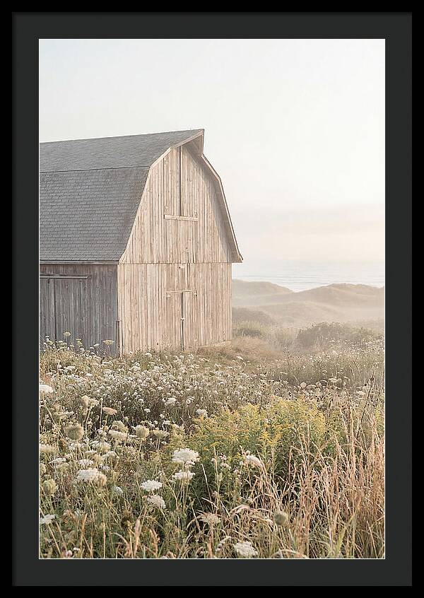 Old Grey Barn By The Sea