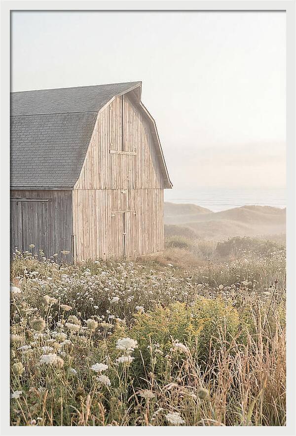 Old Grey Barn By The Sea