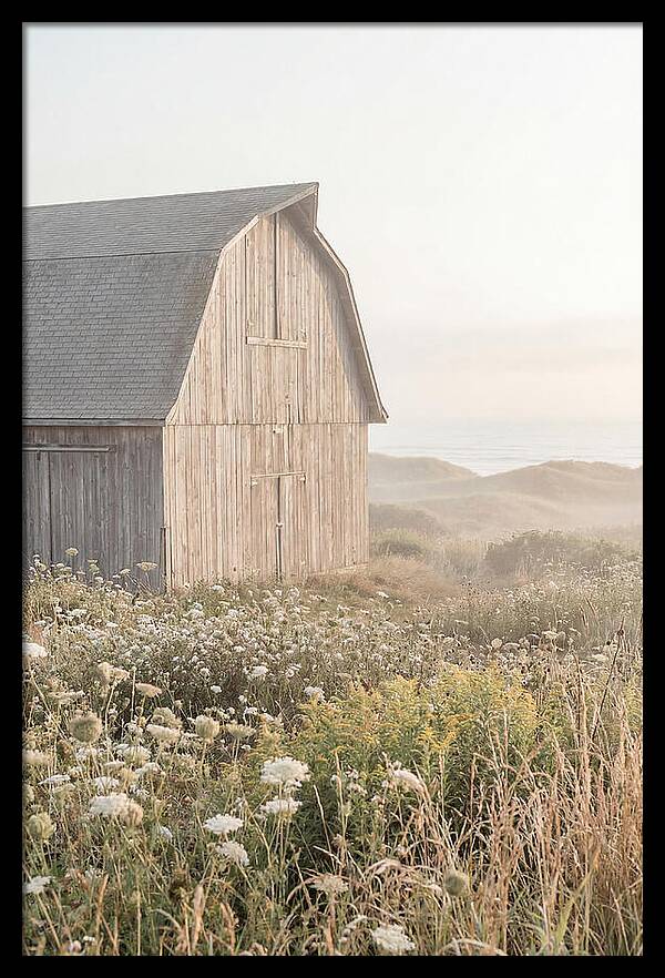 Old Grey Barn By The Sea