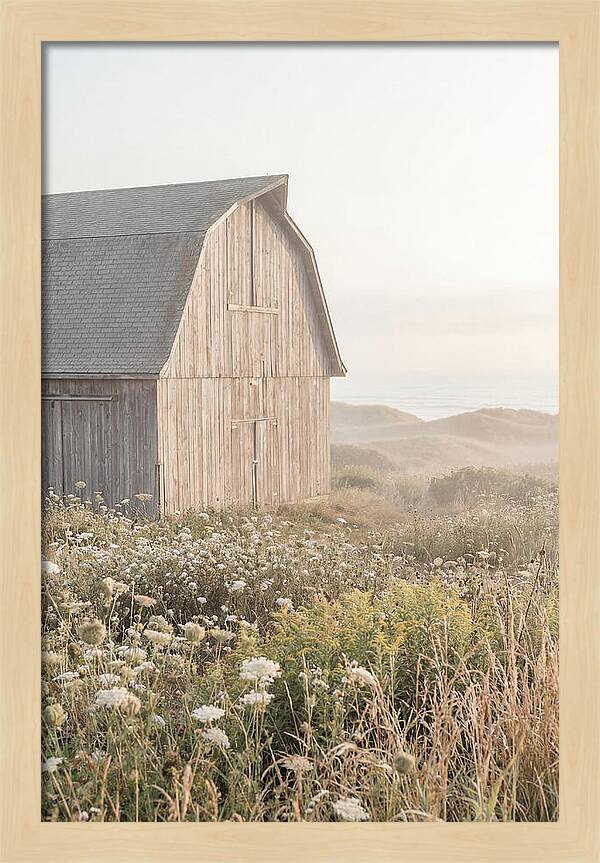 Old Grey Barn By The Sea