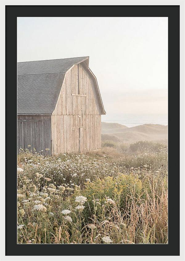 Old Grey Barn By The Sea