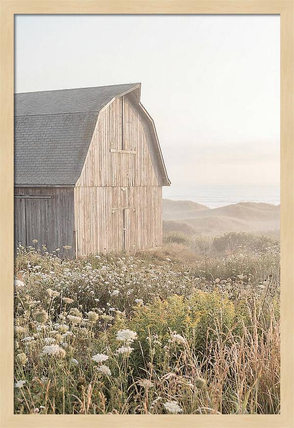 Old Grey Barn By The Sea