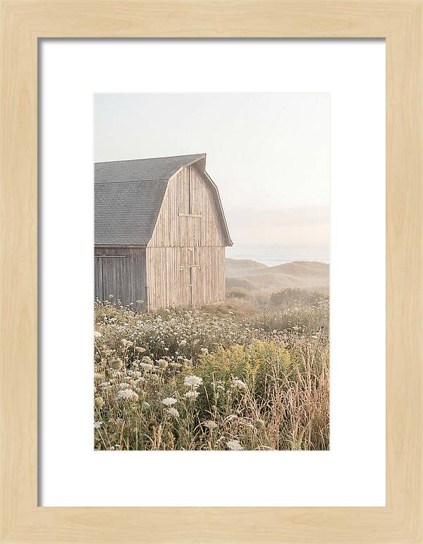 Old Grey Barn By The Sea