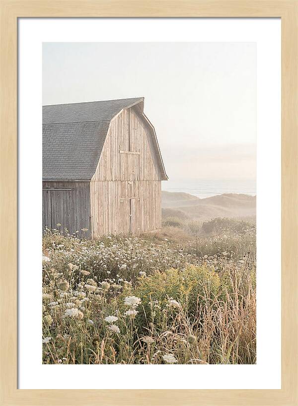 Old Grey Barn By The Sea