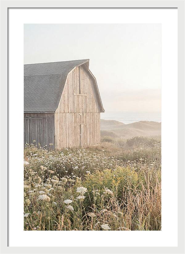 Old Grey Barn By The Sea
