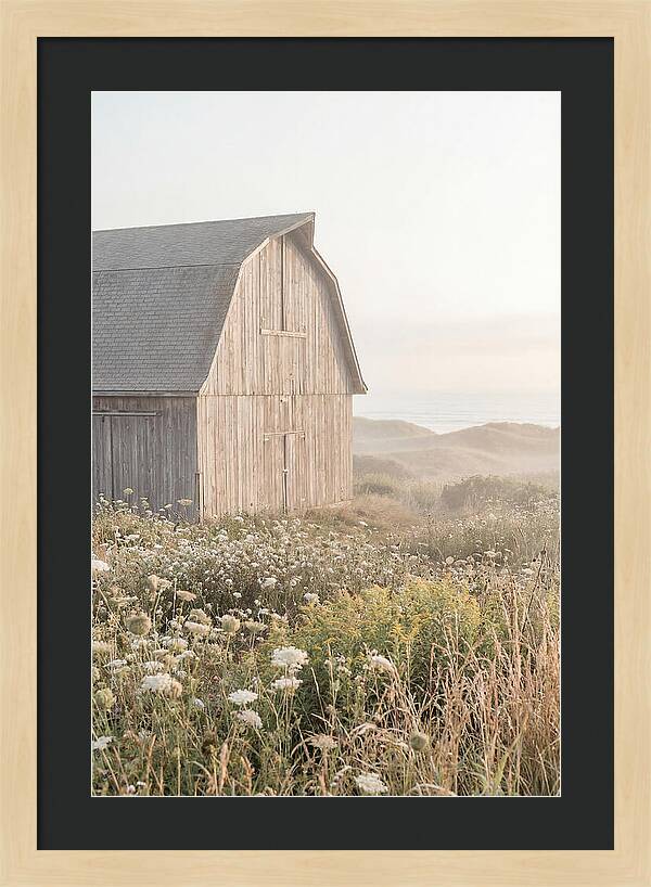 Old Grey Barn By The Sea