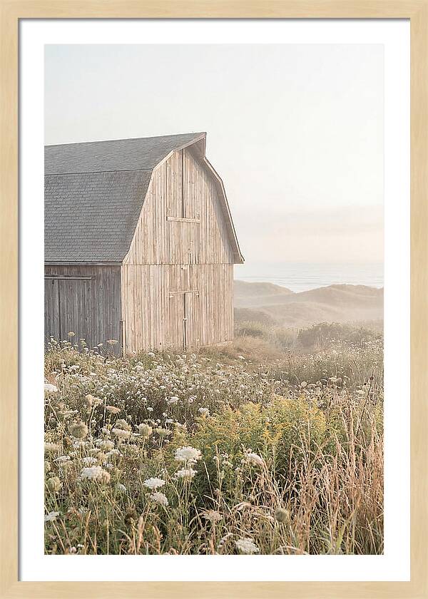 Old Grey Barn By The Sea