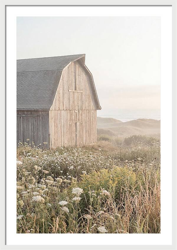 Old Grey Barn By The Sea