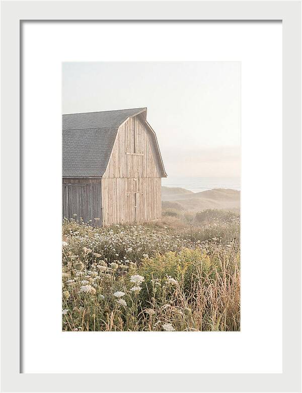 Old Grey Barn By The Sea