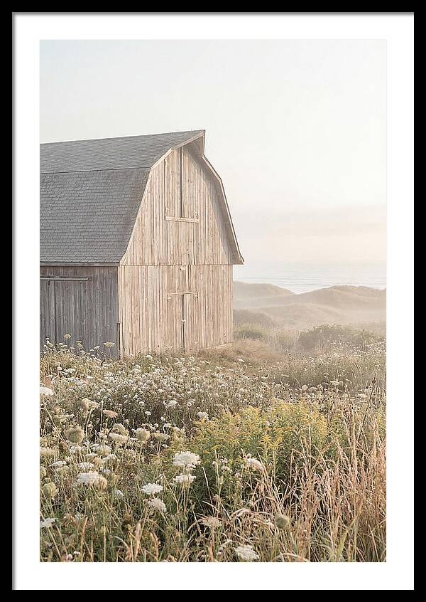 Old Grey Barn By The Sea