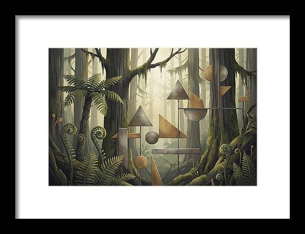 Old Growth Forest Geometry