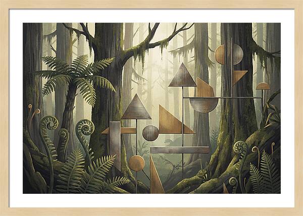 Old Growth Forest Geometry