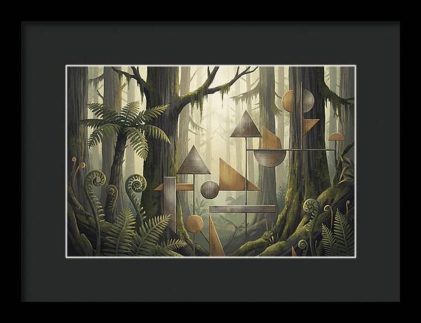 Old Growth Forest Geometry