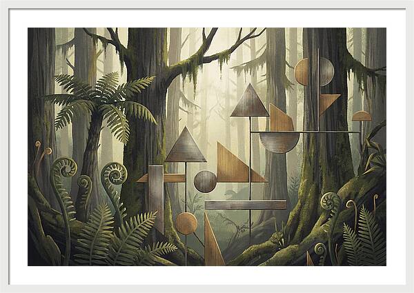Old Growth Forest Geometry