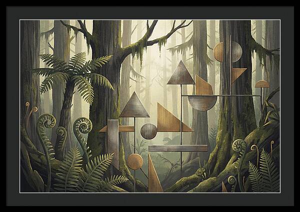 Old Growth Forest Geometry