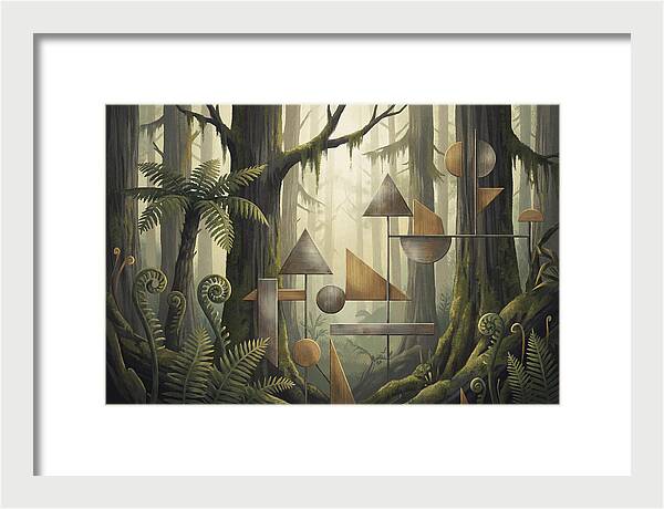Old Growth Forest Geometry