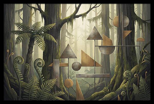 Old Growth Forest Geometry