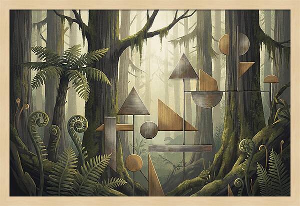 Old Growth Forest Geometry