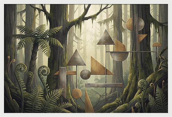 Old Growth Forest Geometry