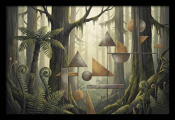 Old Growth Forest Geometry