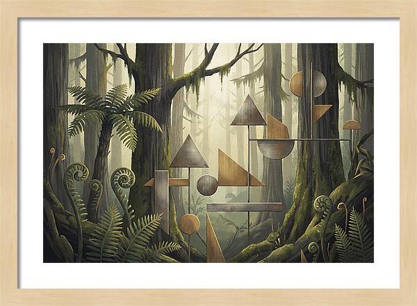 Old Growth Forest Geometry