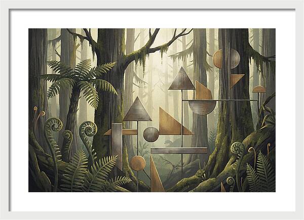 Old Growth Forest Geometry