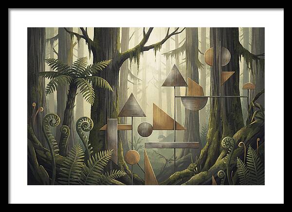 Old Growth Forest Geometry