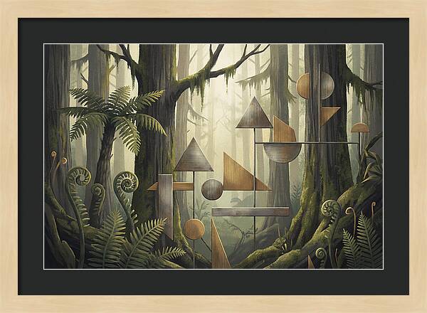 Old Growth Forest Geometry