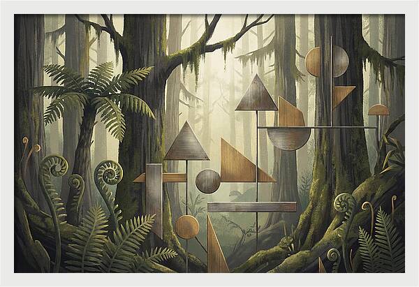 Old Growth Forest Geometry