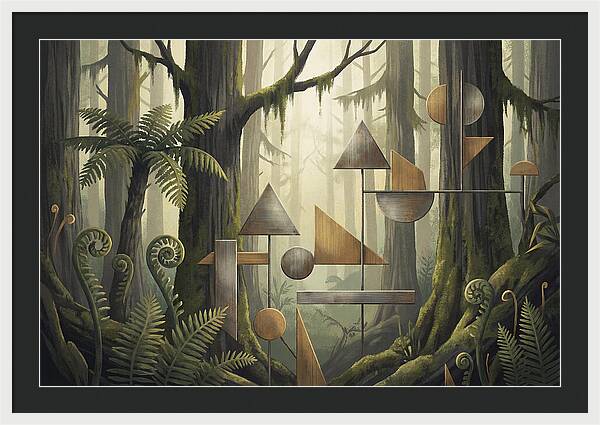 Old Growth Forest Geometry