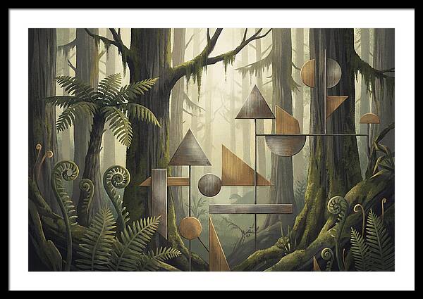Old Growth Forest Geometry