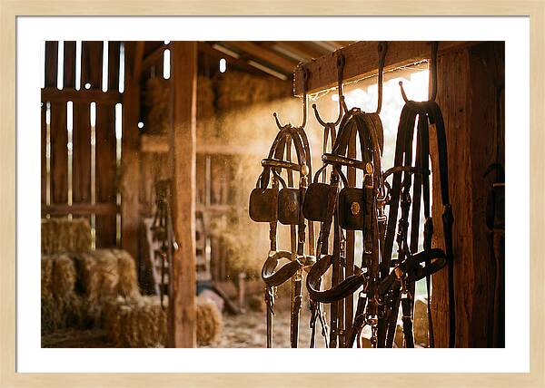 Old Leather Horse Harnesses