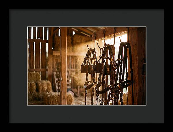Old Leather Horse Harnesses