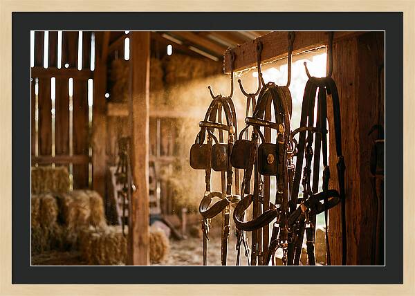 Old Leather Horse Harnesses