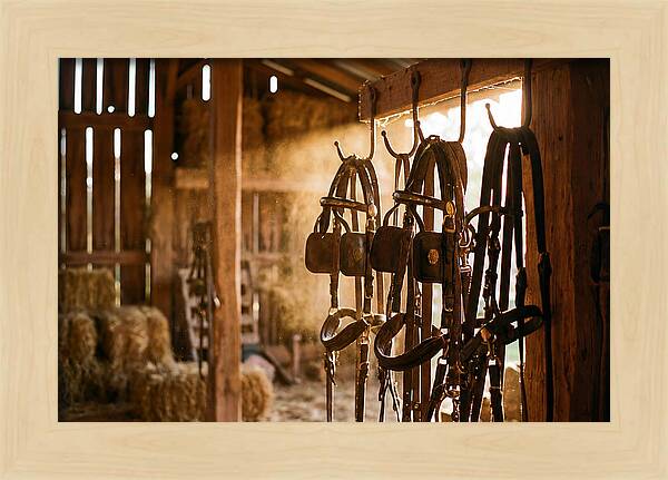 Old Leather Horse Harnesses