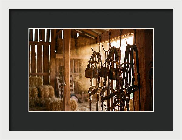 Old Leather Horse Harnesses